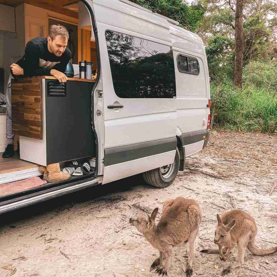 Living in a van with Kangarros