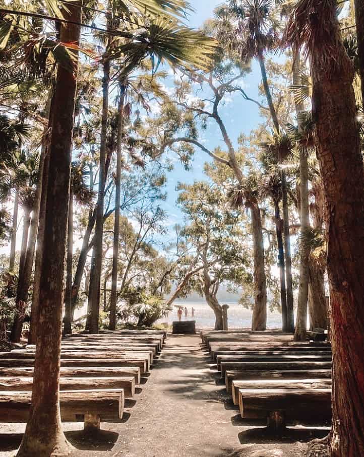 Looking down towards the end of the The Green Cathedral 