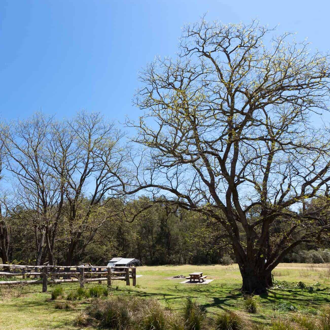 Bendethera Valley Campground, Deua National Park