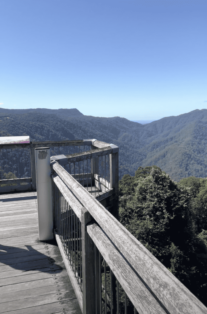 Dorrigo National Park