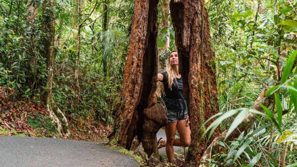 Dani standing in a tree with a hole in it