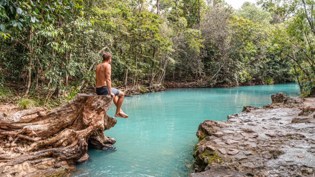 Wade seating on a tree stamp out of the water at Cardwell spa pools