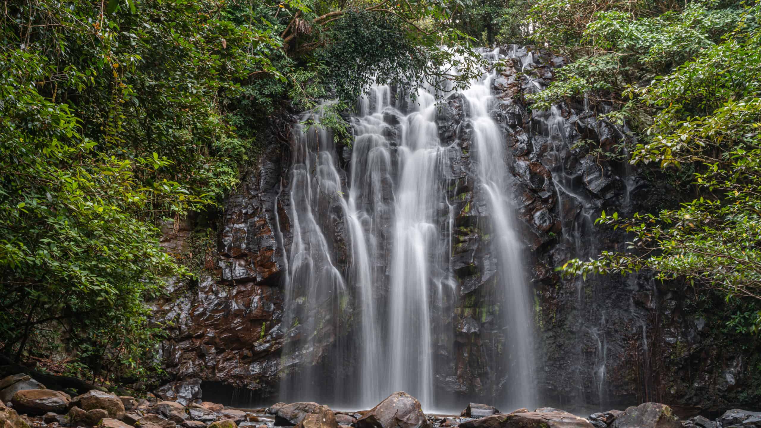 Discover Ellinjaa Falls, Queensland's Hidden Gem
