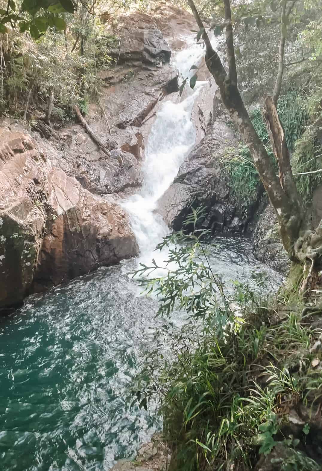 Finch Hatton Gorge - Everything you need to know