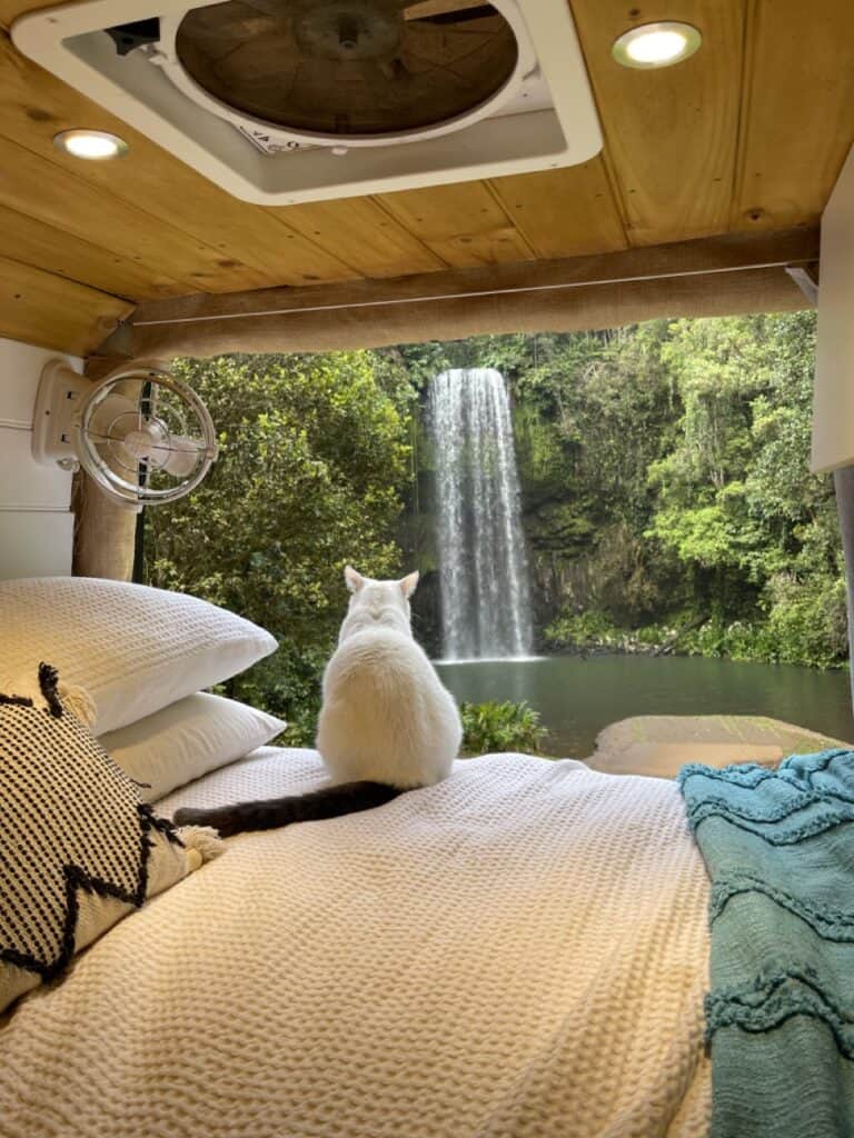 A cat looking out the back doors of a van that is parked next to a waterfall