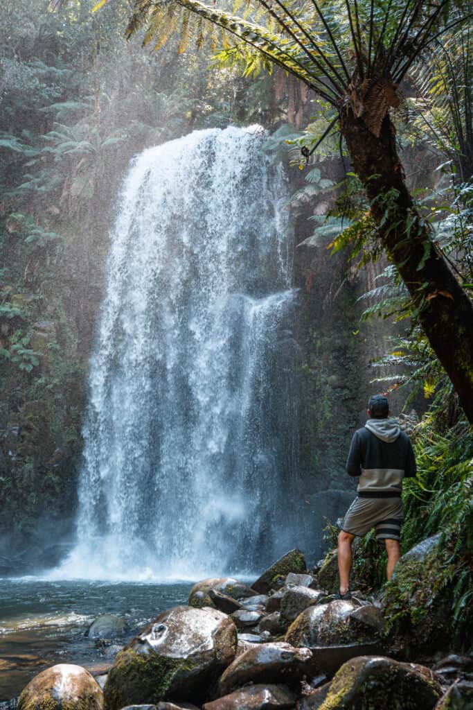 Wade admiring Beauchamp Falls. Lots of lush green around the waterfall and rocks at the bottom.