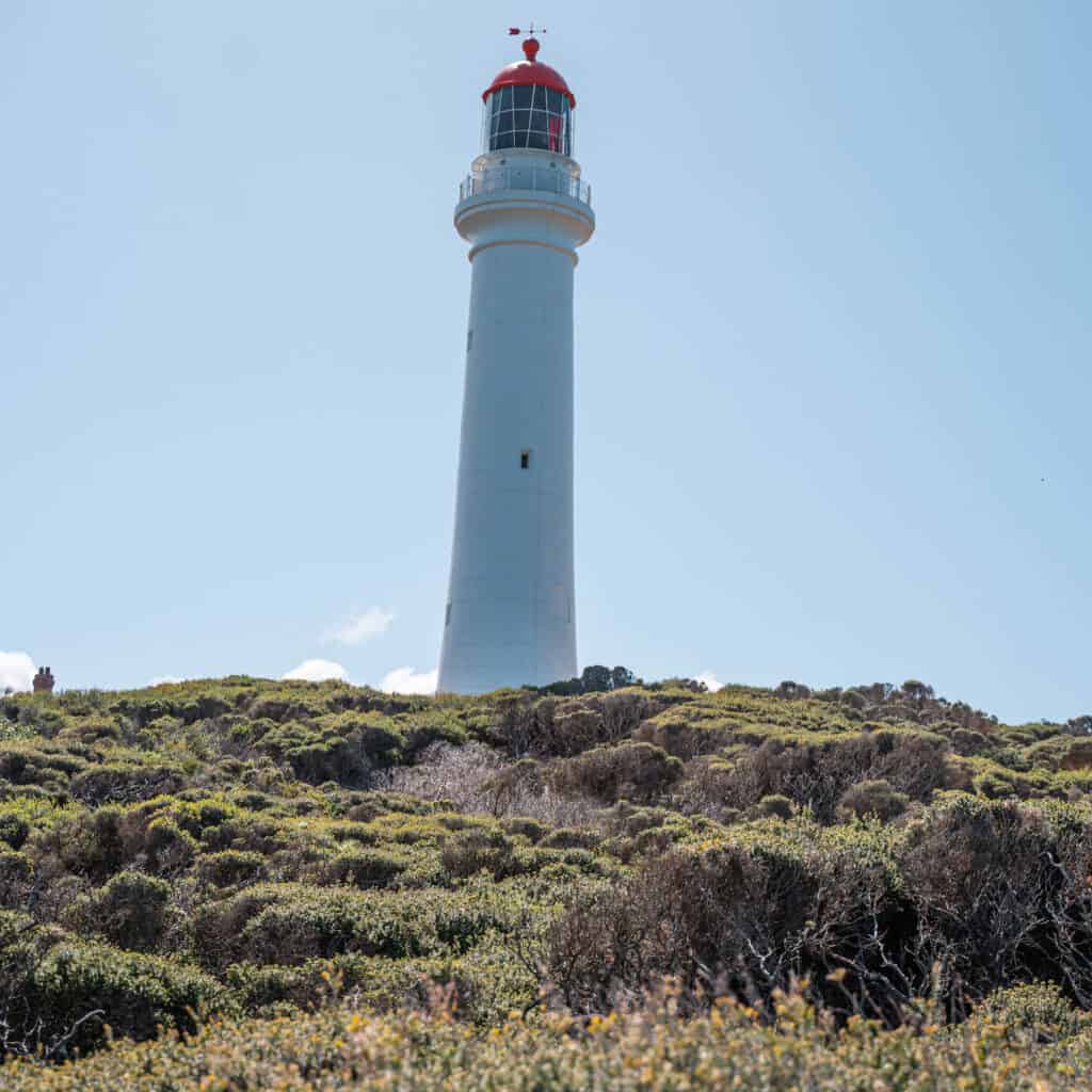 A picture of Split Point Lighthouse from far away.