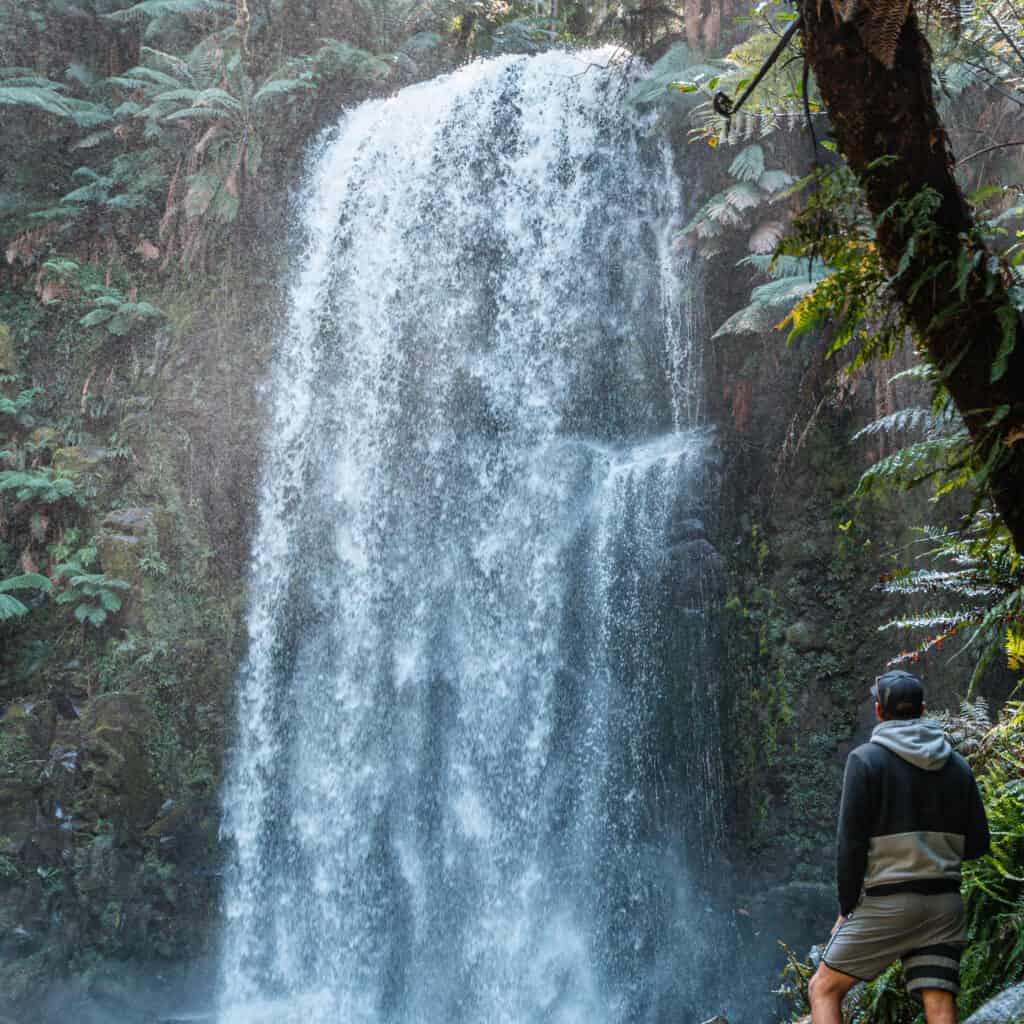 Wade standing next to a big waterfall surrounded by green rainforest 