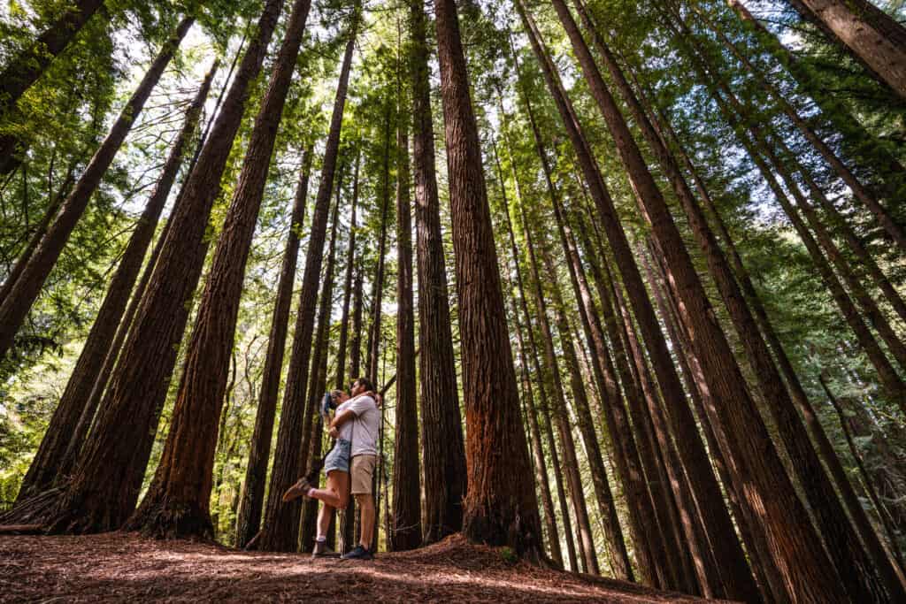 Wade and Dani hugging among the trees in the California Redwood Forest