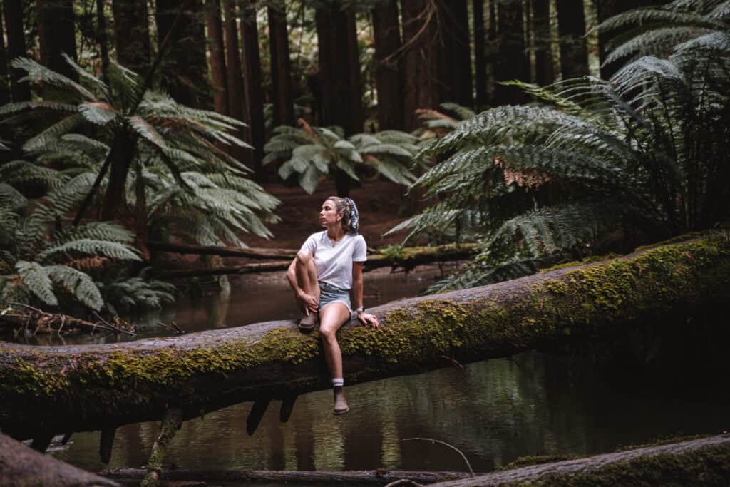 Dani is sitting on a tree log that is fallen across a river