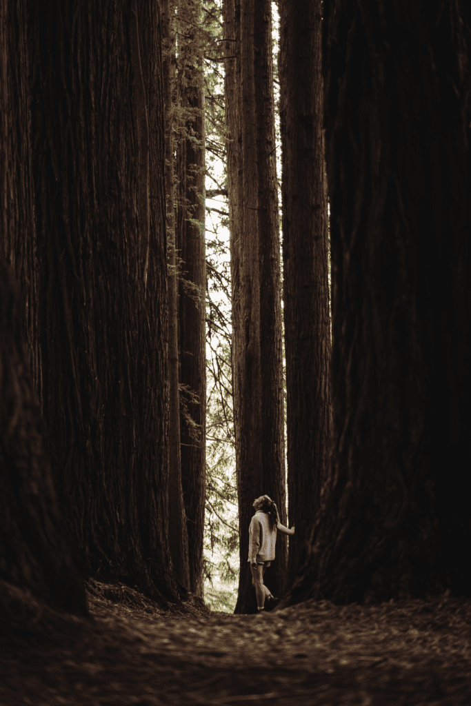 Dani is standing next to the towering Californian Redwood Forest