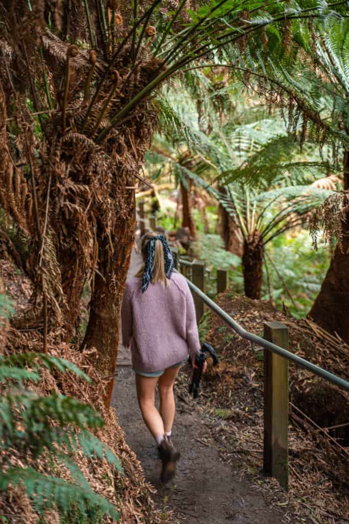 Dani doing the walk down to Hopetoun Falls through a path among lush and green vegetation