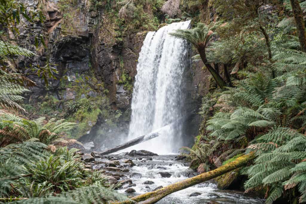 A beautiful view of Hopetoun Falls among lush and green vegetation