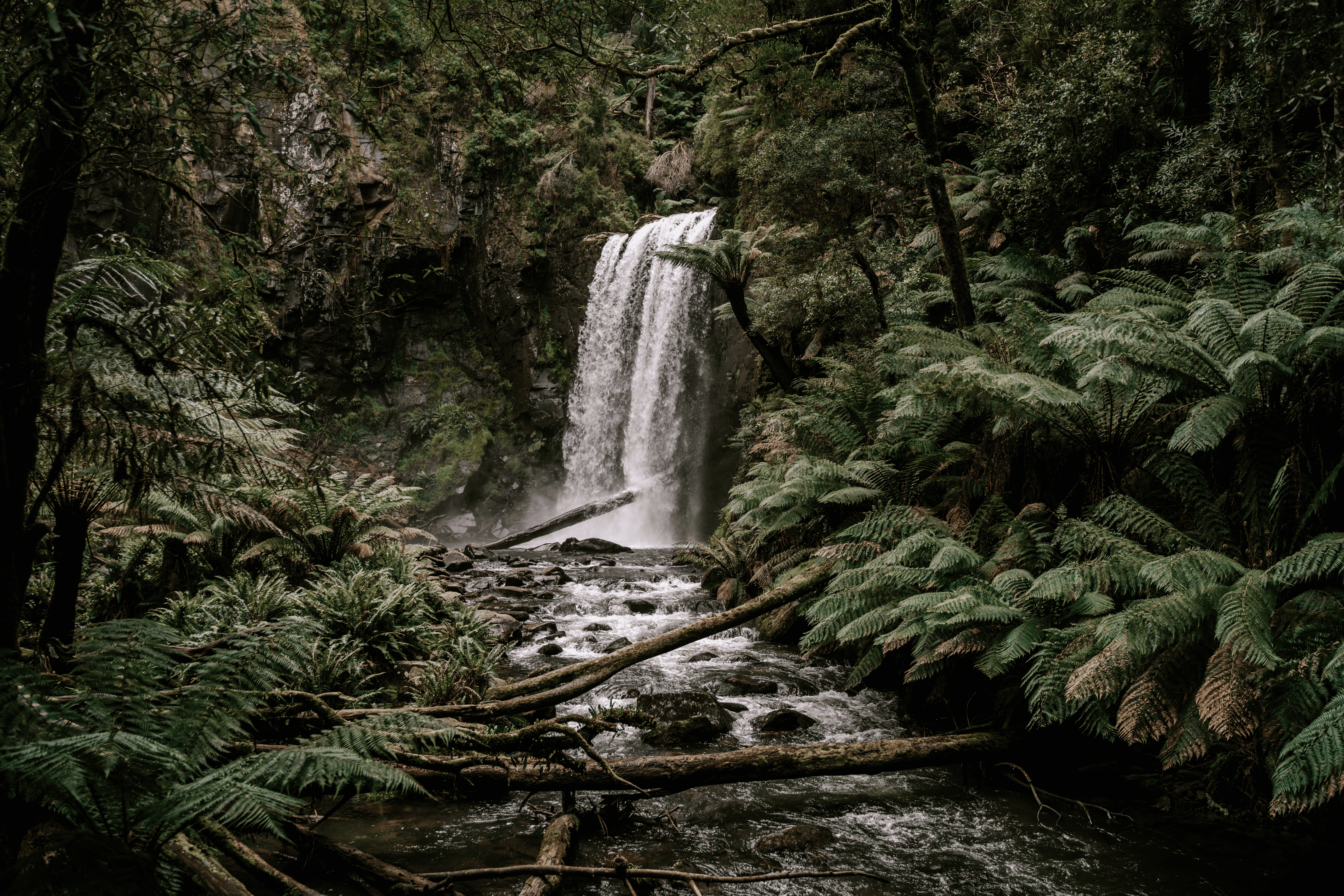 A beautiful view of Hopetoun Falls among lush and green vegetation