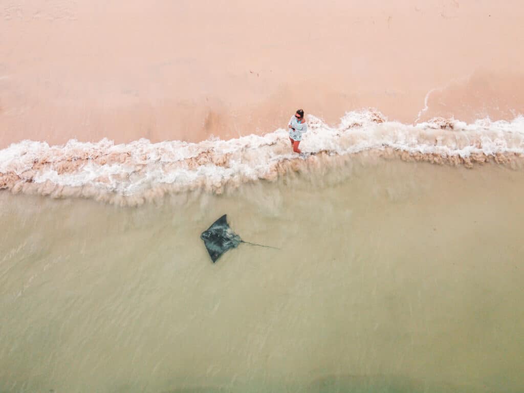 Dani standing by the beach, next to a stingray in Hamelin Bay