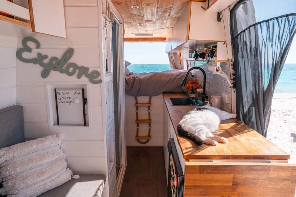 campervan kitchen with a cat sleeping on the bench