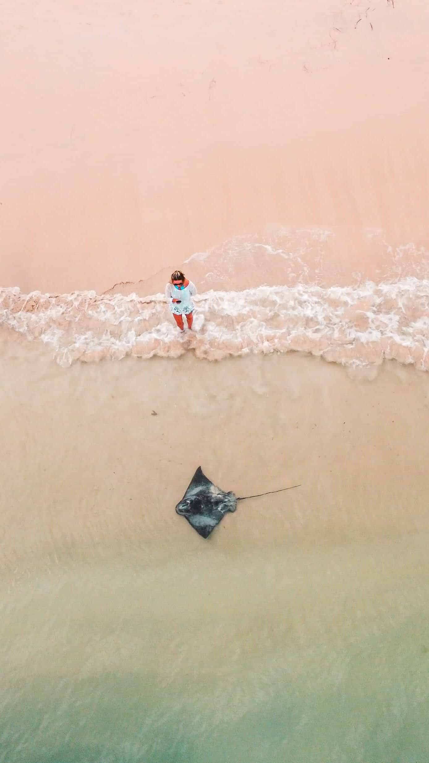 Dani standing next to a stingray on the shore in Hamelin Bay