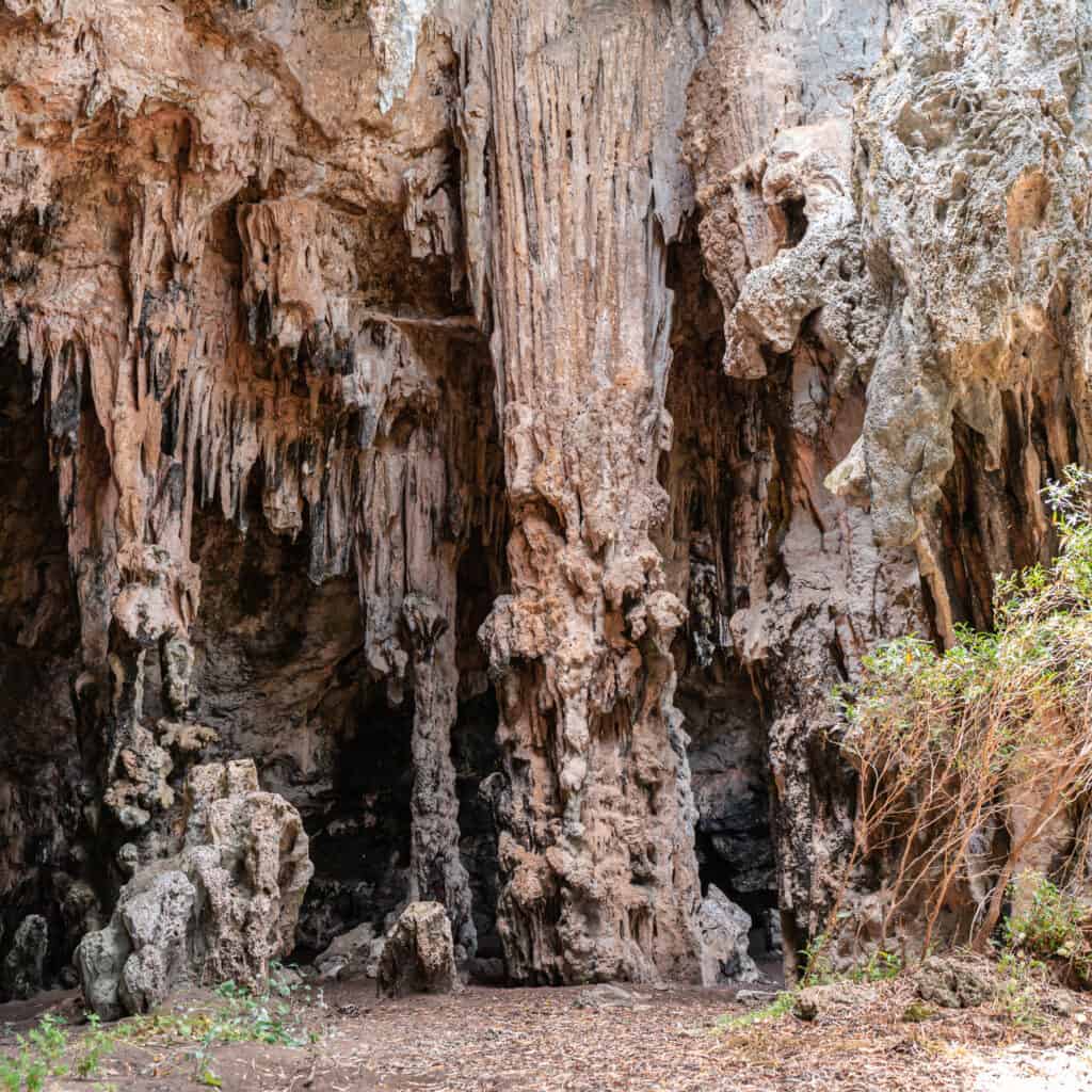 Photo of the outside of a free cave in Margaret River